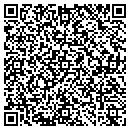 QR code with Cobblestone Auto Spa contacts