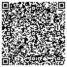 QR code with Pulse of Twin Cities contacts