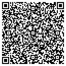 QR code with Prins Mark H contacts