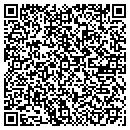 QR code with Public Works Director contacts