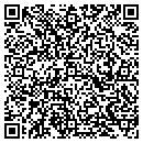 QR code with Precision Layouts contacts
