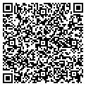 QR code with Buckle contacts