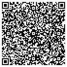 QR code with Publishing Strategy Intl contacts