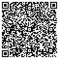 QR code with AIG contacts