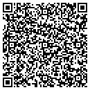 QR code with Central Mn Message contacts