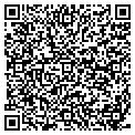 QR code with AON contacts