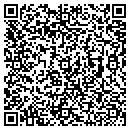 QR code with Puzzelmaster contacts