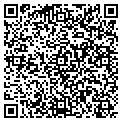 QR code with Torrid contacts