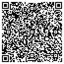 QR code with Carlton Design Group contacts