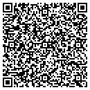 QR code with Cook Public Library contacts