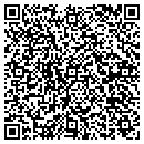 QR code with Blm Technologies Inc contacts