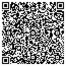 QR code with Public Works contacts