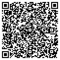 QR code with Amvets contacts
