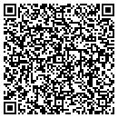 QR code with Project Foundation contacts