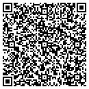 QR code with Pyramid Properties contacts