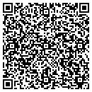 QR code with Previous Experience contacts