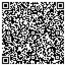 QR code with Project Fine contacts