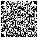 QR code with Project Life contacts
