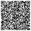 QR code with Premier Lincoln Merc contacts