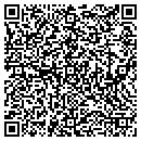 QR code with Borealis Glass Art contacts