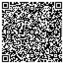 QR code with Bricelyn V A Clinic contacts