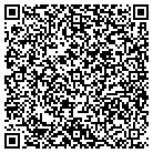 QR code with Blue Stream Ventures contacts