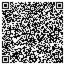 QR code with Progenesis contacts