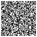 QR code with Babbitt Public Library contacts