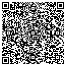 QR code with Pulice Construction contacts