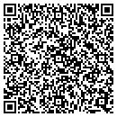 QR code with Public Storage contacts