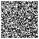 QR code with Cg Software Services contacts