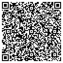 QR code with Brians Log Furniture contacts