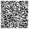 QR code with AMF contacts