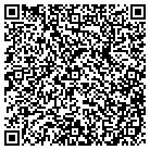 QR code with Srk Painting & Texture contacts