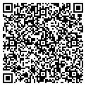 QR code with B Team contacts