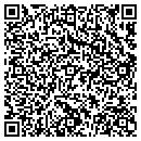 QR code with Premiere Wireless contacts