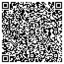 QR code with Steinle Auto contacts