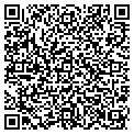 QR code with Rapids contacts