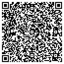 QR code with Cappelen Construction contacts