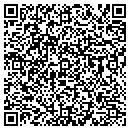 QR code with Public Works contacts