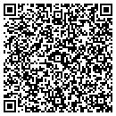 QR code with Primitive Origins contacts