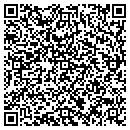 QR code with Cokato Public Library contacts