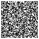 QR code with Protronics Inc contacts