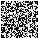 QR code with Cokato Public Library contacts