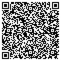 QR code with Willows contacts