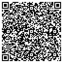 QR code with Pyramid Siding contacts