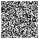 QR code with Crystal Clear Pools contacts