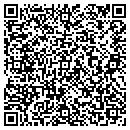 QR code with Capture The Memories contacts