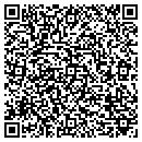 QR code with Castle Rock Township contacts