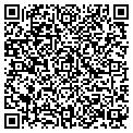 QR code with Nugget contacts